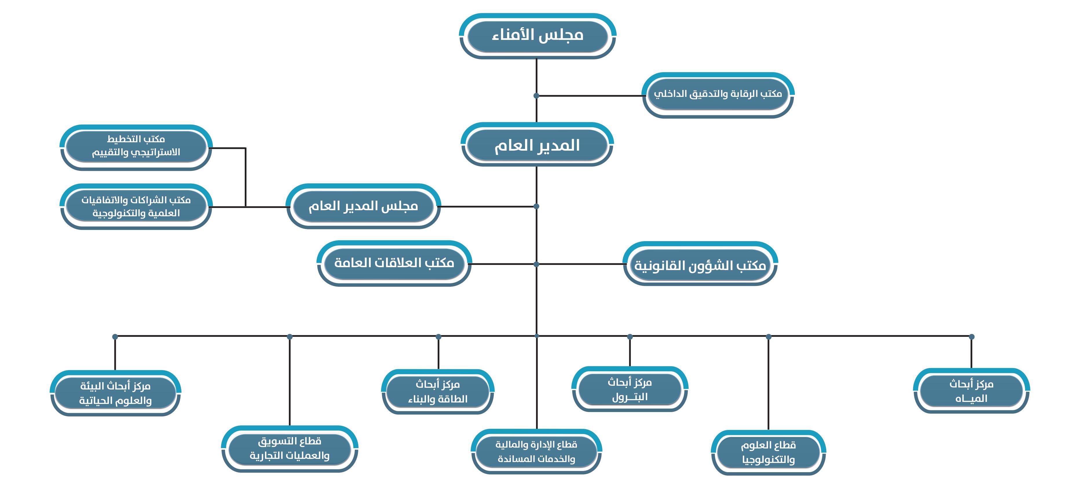 900 X 400 Arabic (1).jpg