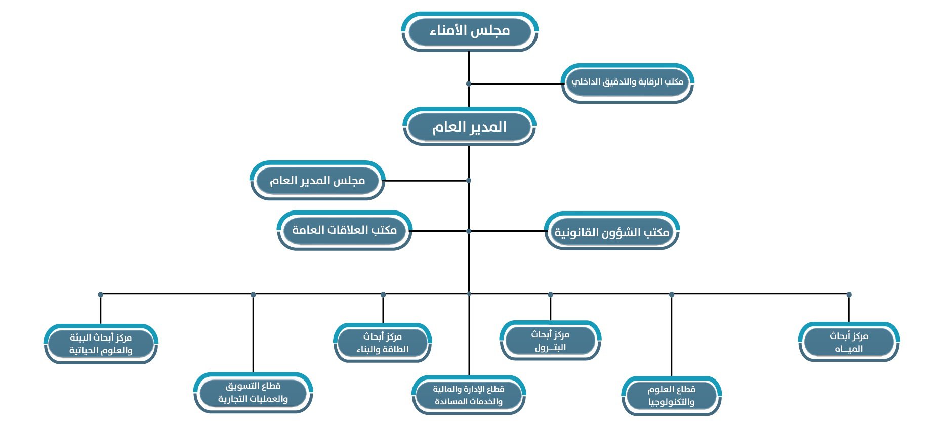 900 X 400 arabic (2).jpg